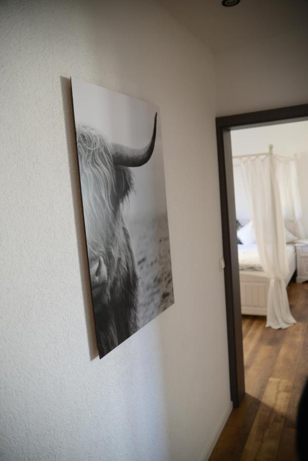 Ferienwohnung Die Alte Schule Daun Exteriör bild