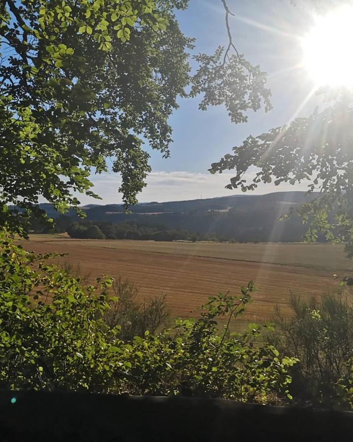 Ferienwohnung Die Alte Schule Daun Exteriör bild
